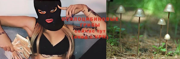 прущий лед Арсеньев