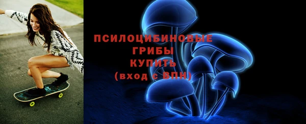 прущий лед Арсеньев